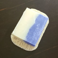 Load image into Gallery viewer, Soap Saver