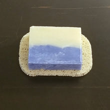 Load image into Gallery viewer, Soap Saver